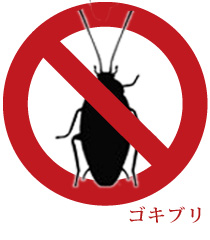 ゴキブリ